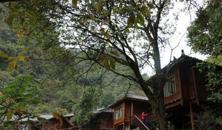 贵州最全旅游攻略：盘点贵州最美旅游地！-贵州旅游必去景点排名