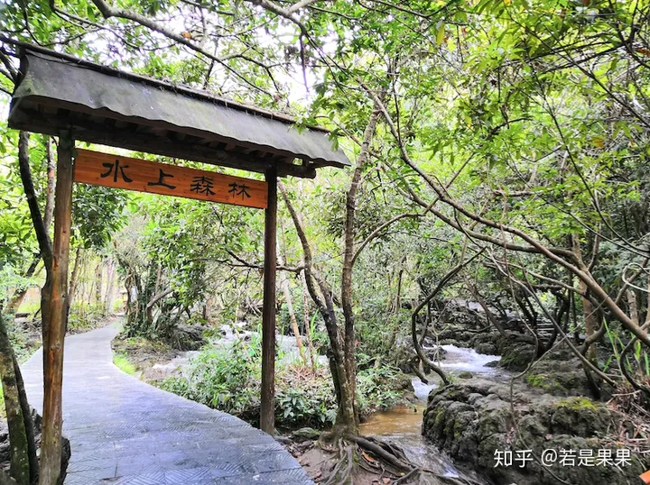 去贵州旅游有哪些实用建议和攻略？-带娃去贵州怎么玩