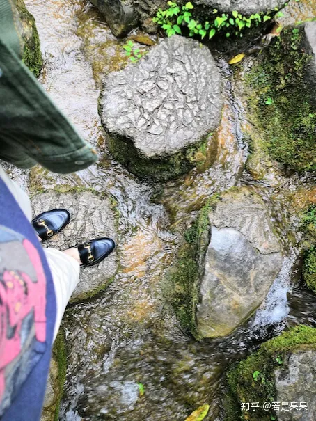 去贵州旅游有哪些实用建议和攻略？-带娃去贵州怎么玩