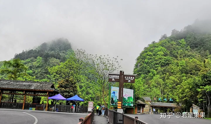 去贵州旅游有哪些实用建议和攻略？-带娃去贵州怎么玩