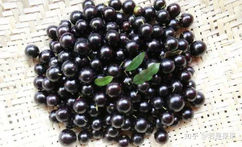 去贵州旅游有哪些实用建议和攻略？-带娃去贵州怎么玩