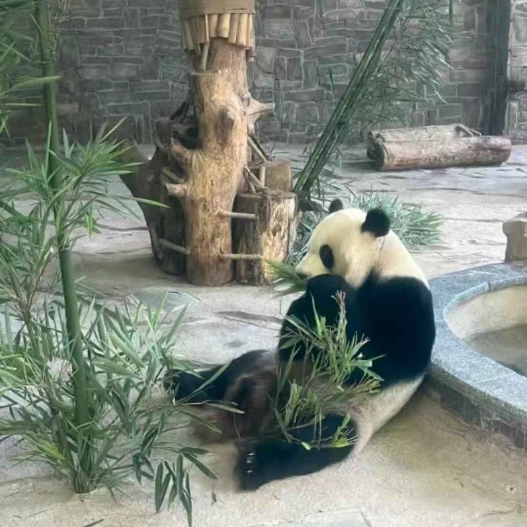 贵州旅游自由行攻略 看这一篇就够了-贵州自由行旅游攻略5天