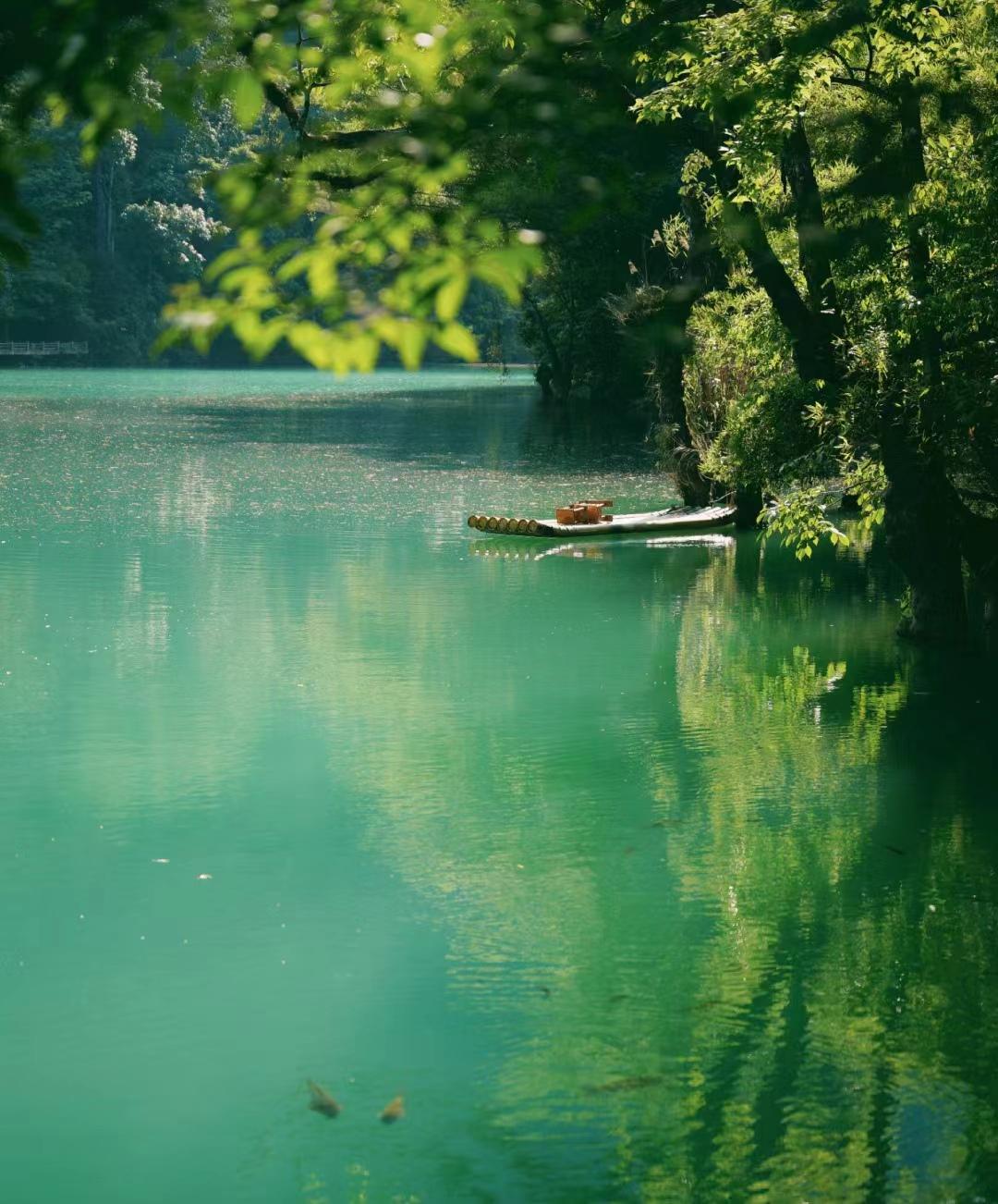 贵州旅游自由行攻略 看这一篇就够了-贵州自由行旅游攻略5天