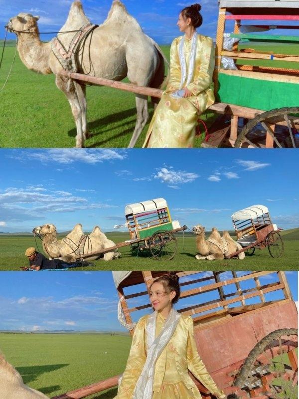 内蒙古旅游攻略，值得收藏的省钱攻略！-内蒙古旅游攻略必玩的景点气温