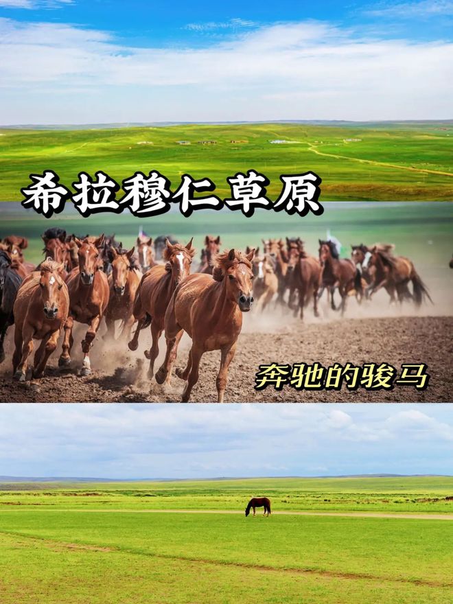 内蒙古旅游攻略分享，快来看看！-内蒙古旅游攻略大全