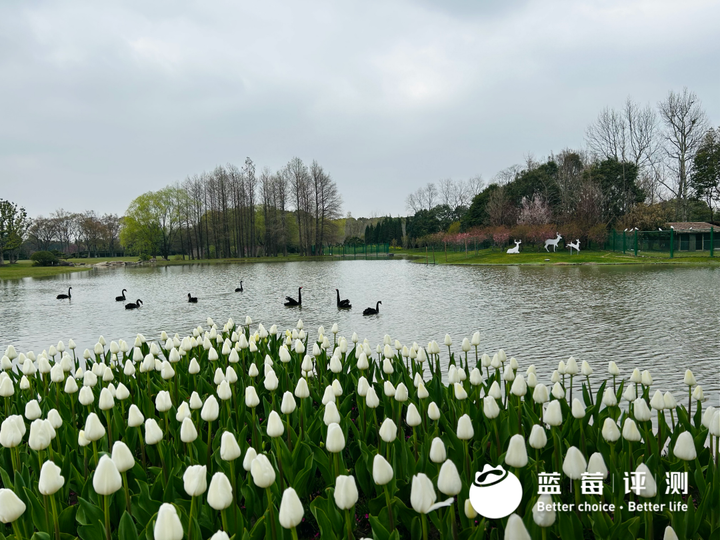 上海墓地有哪些？百姓首选公墓是哪里？-上海排名前三的墓地