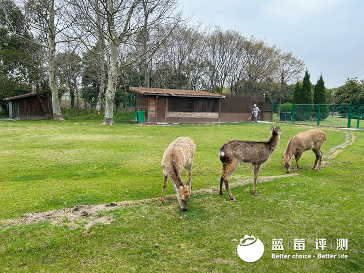 上海墓地有哪些？百姓首选公墓是哪里？-上海排名前三的墓地