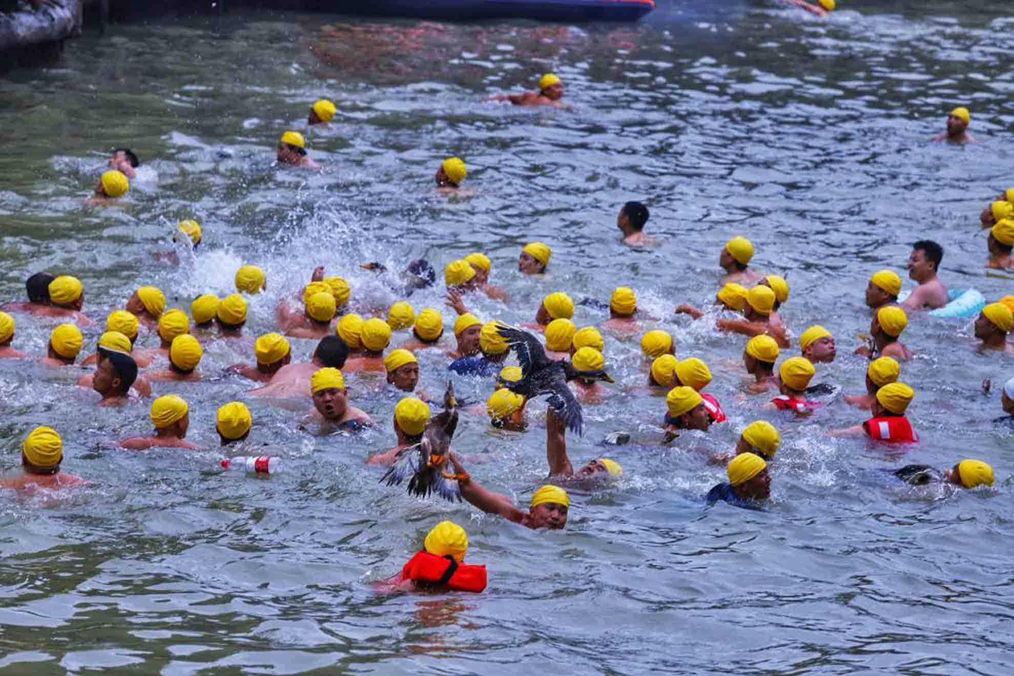 龙舟竞渡迎端午 凤凰古城风味浓-龙舟竞渡的传说