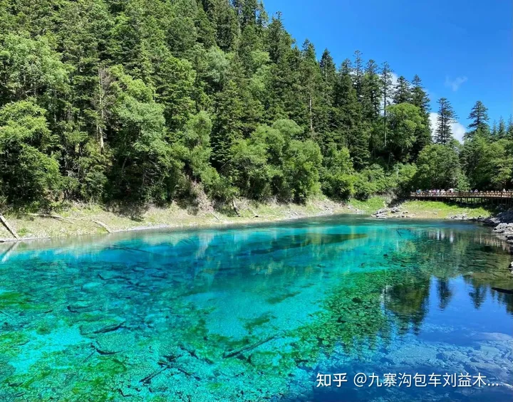 九寨沟游览攻略｜九寨沟景区攻略｜九寨沟攻略-九寨沟旅游最新攻略视频