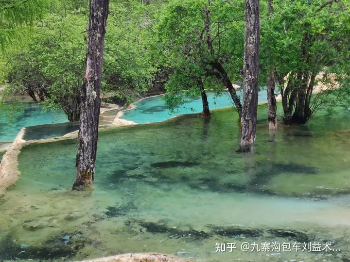 九寨沟游览攻略｜九寨沟景区攻略｜九寨沟攻略-九寨沟旅游最新攻略视频