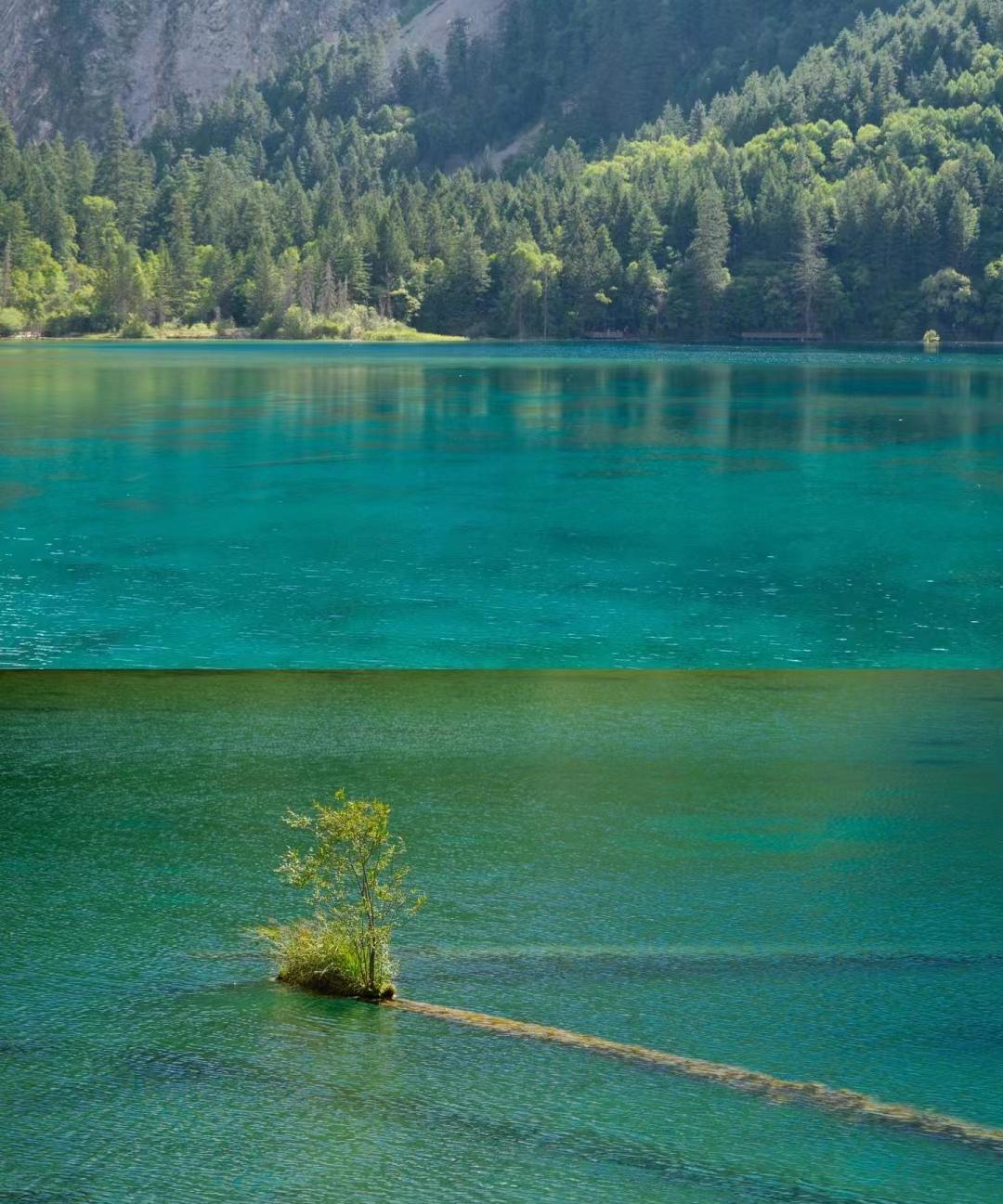 来了九寨沟之后大为震撼-来九寨沟惬意的句子说说心情