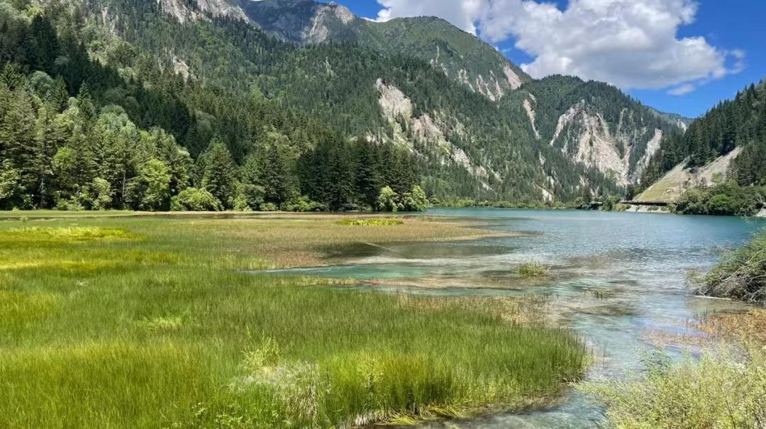 来了九寨沟之后大为震撼-来九寨沟惬意的句子说说心情