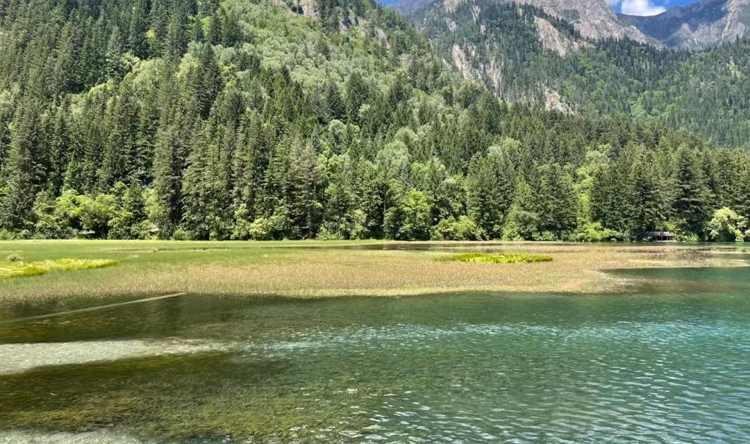 来了九寨沟之后大为震撼-来九寨沟惬意的句子说说心情