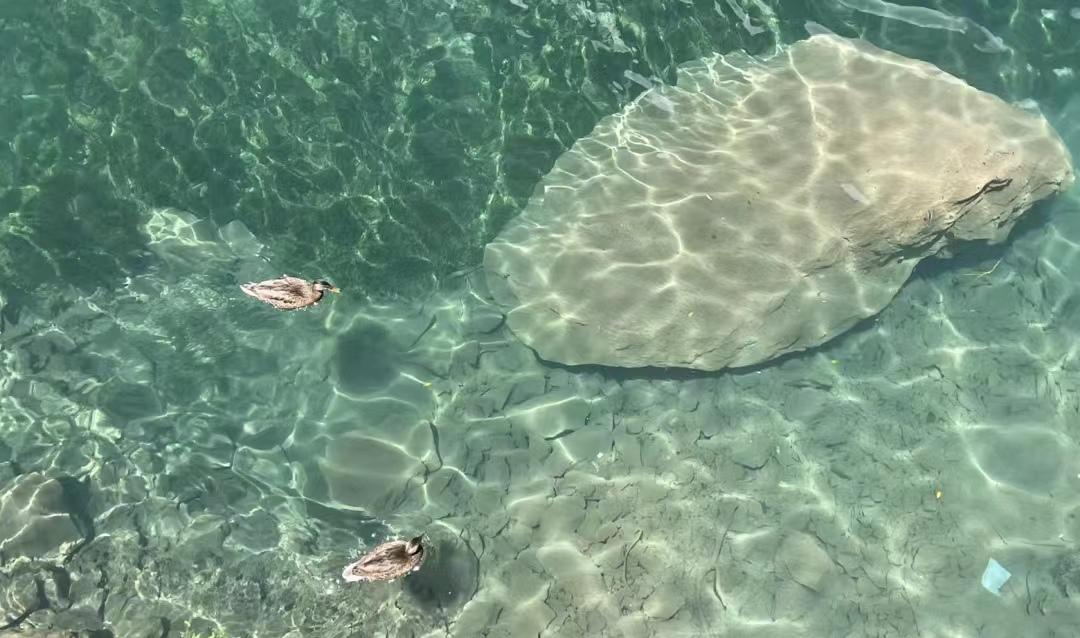 来了九寨沟之后大为震撼-来九寨沟惬意的句子说说心情