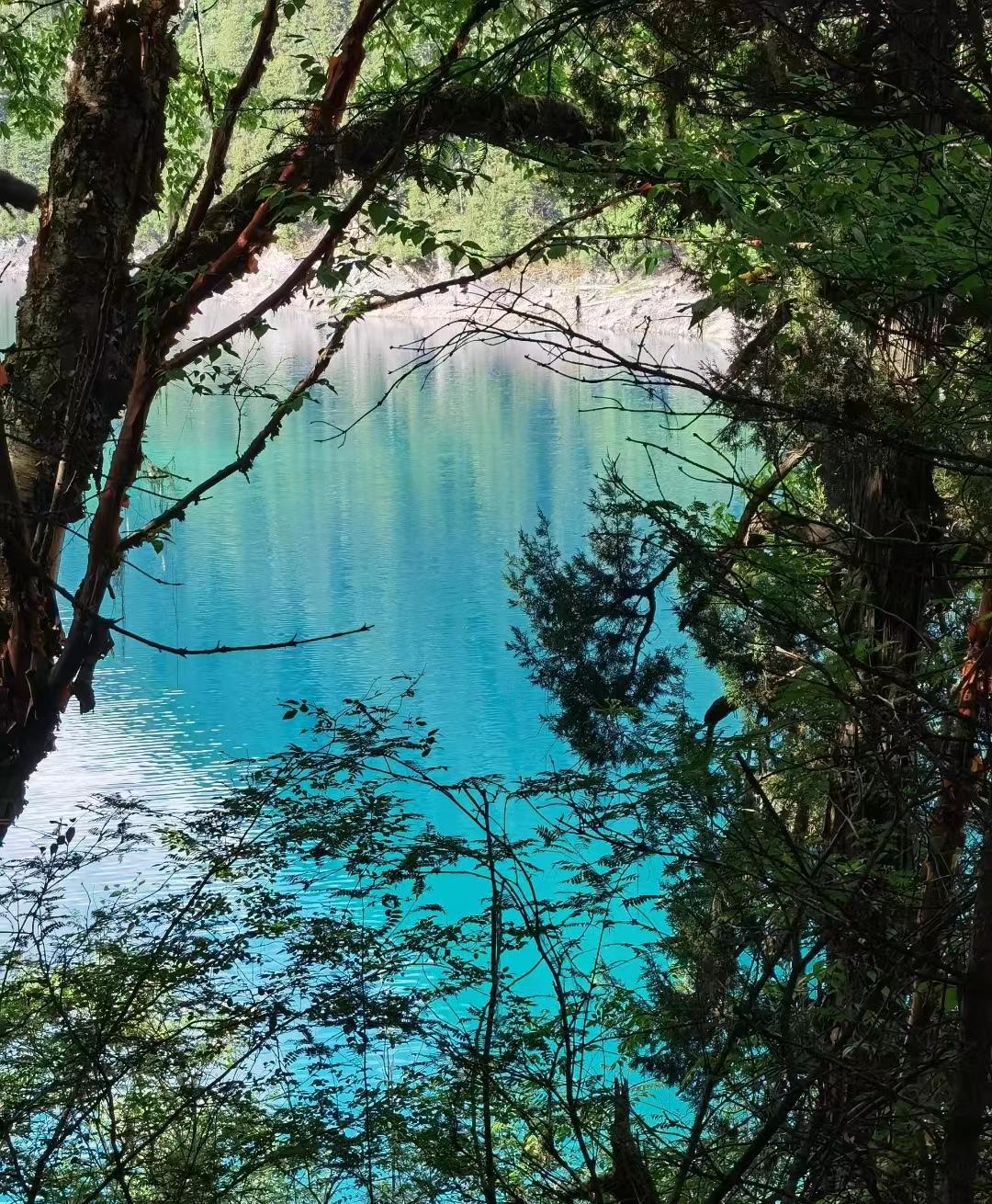 来了九寨沟之后大为震撼-来九寨沟惬意的句子说说心情
