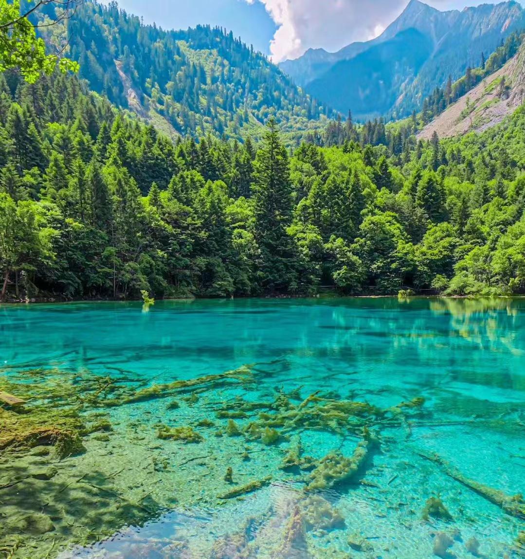 来了九寨沟之后大为震撼-来九寨沟惬意的句子说说心情