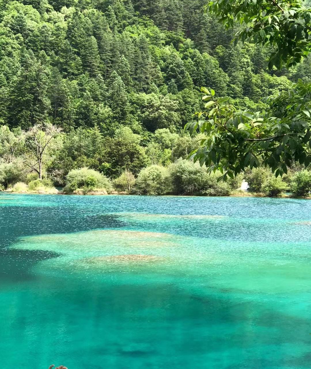 来了九寨沟之后大为震撼-来九寨沟惬意的句子说说心情