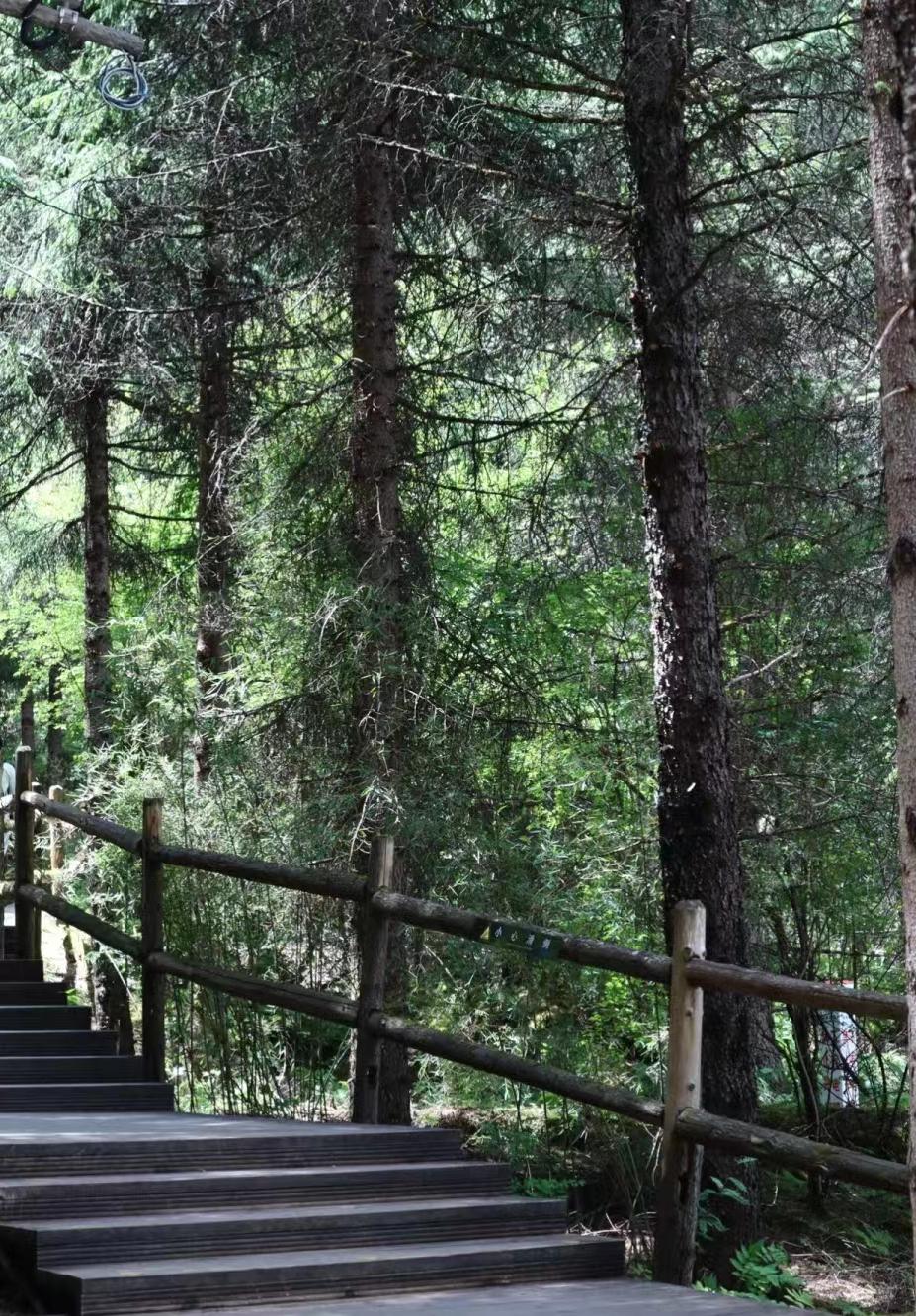 来了九寨沟之后大为震撼-来九寨沟惬意的句子说说心情