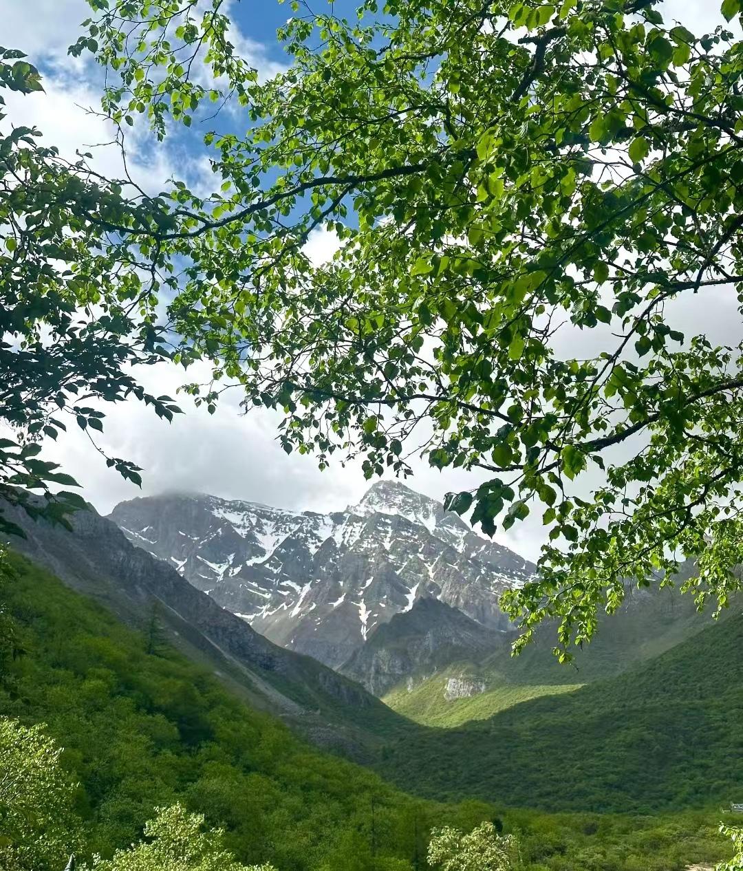 来了九寨沟之后大为震撼-来九寨沟惬意的句子说说心情