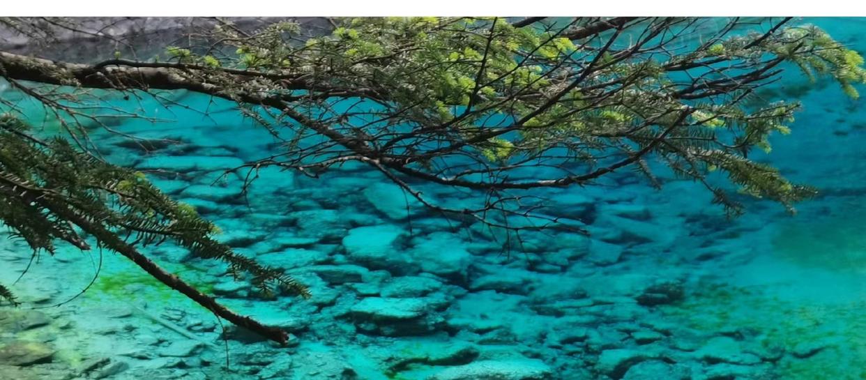 来了九寨沟之后大为震撼-来九寨沟惬意的句子说说心情