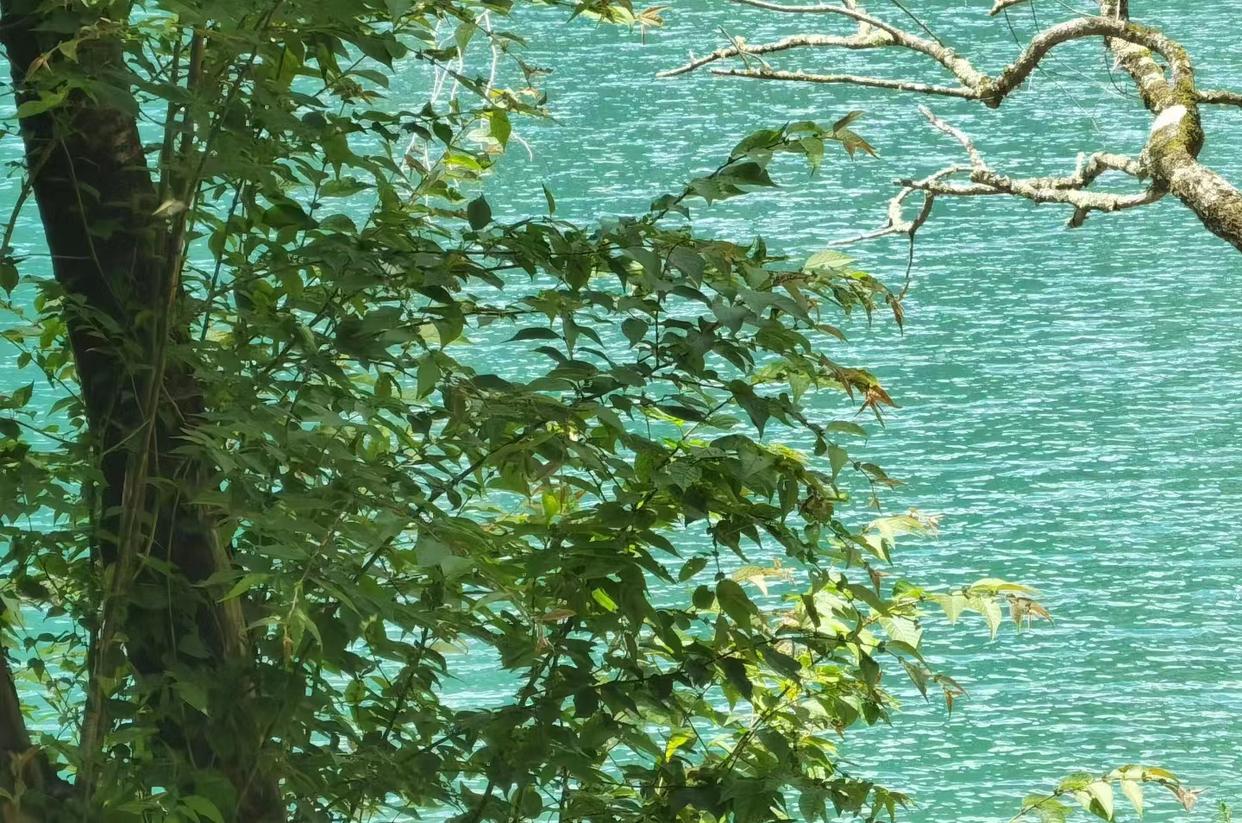 第一次去九寨沟，这些建议一定要收好-去九寨沟应该准备什么物品