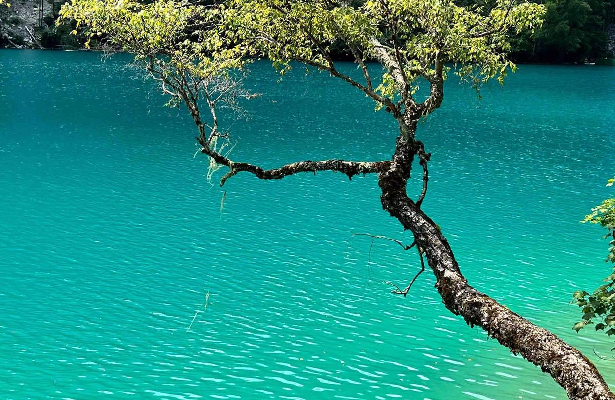 第一次去九寨沟，这些建议一定要收好-去九寨沟应该准备什么物品