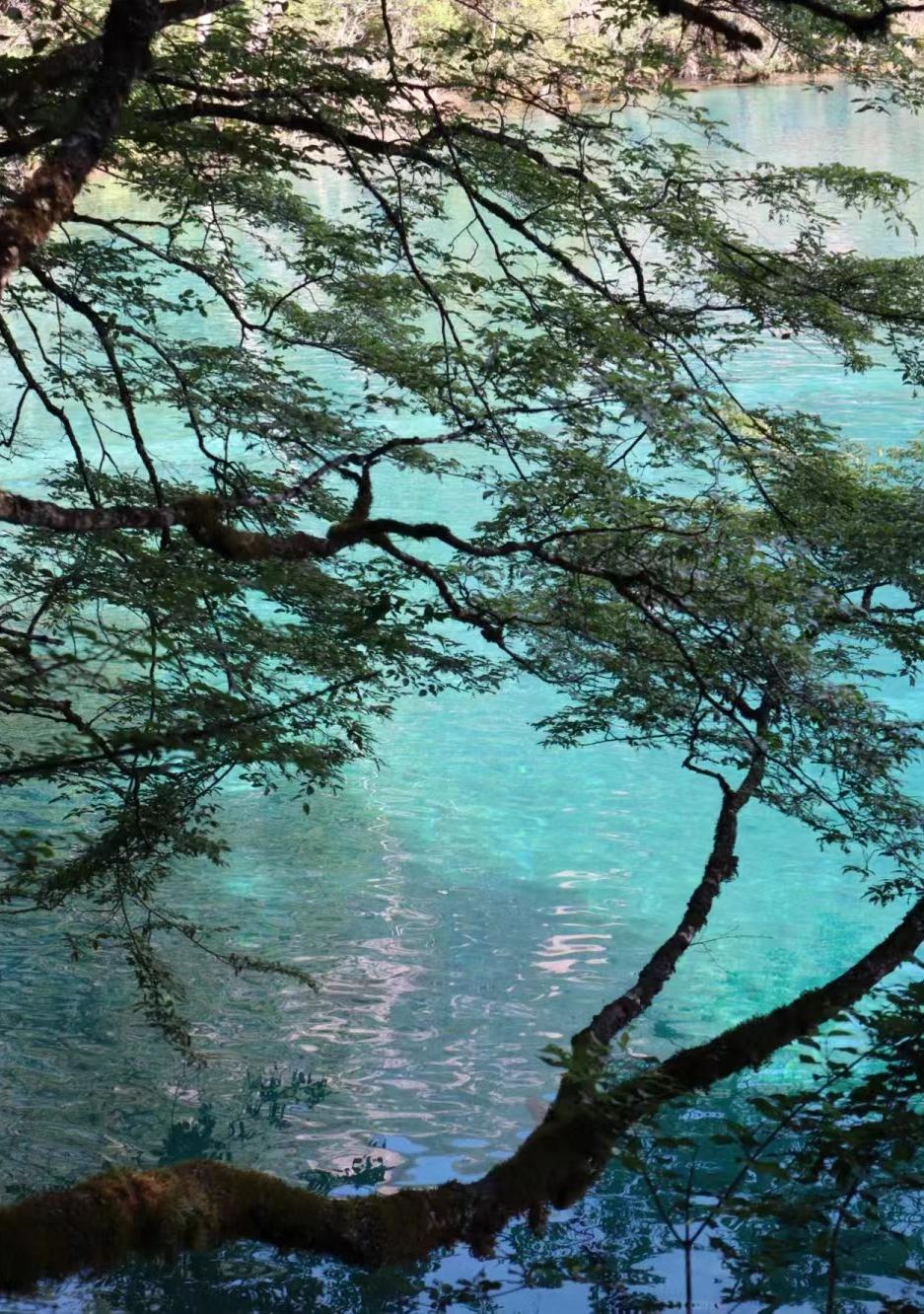 第一次去九寨沟，这些建议一定要收好-去九寨沟应该准备什么物品