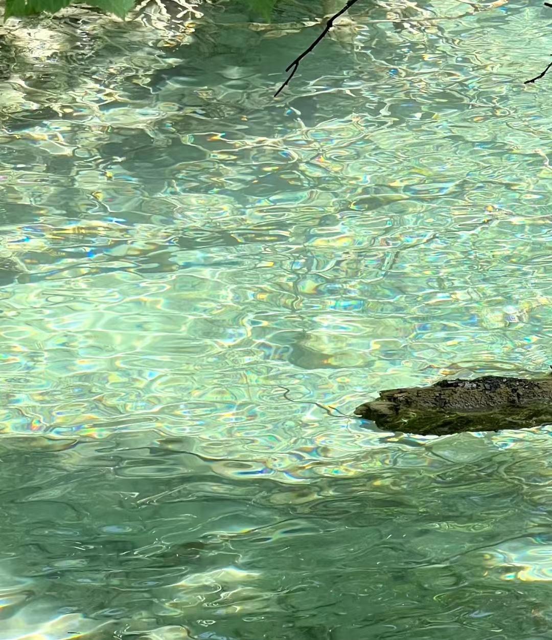 第一次去九寨沟，这些建议一定要收好-去九寨沟应该准备什么物品