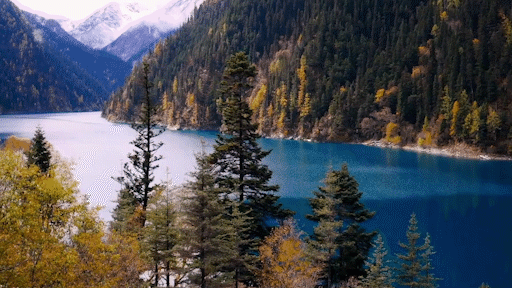 老牌5A，快要“飙”起来了→