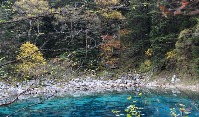 九寨沟：一个人间仙境，一个美丽而又神奇的梦幻世界！-四川旅游攻略路线最佳路线