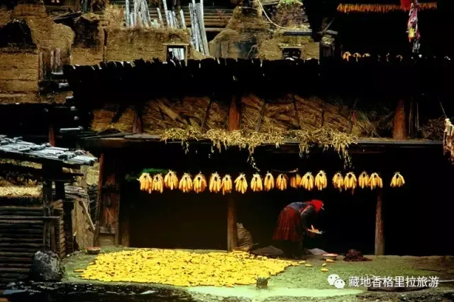 香格里拉10大必游景点“老司机”都去过，你走过几个？-香格里拉必看景点