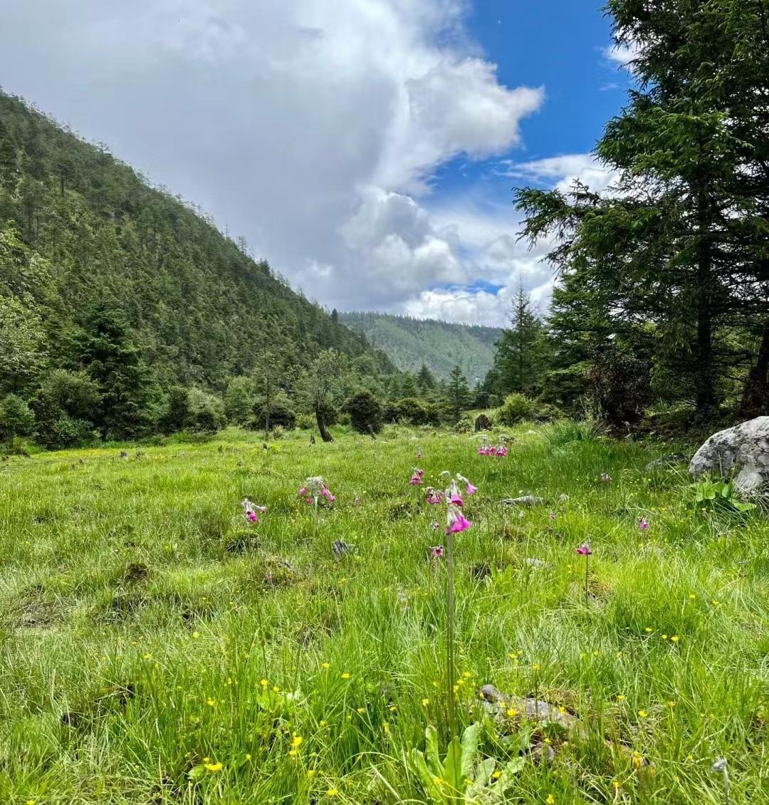 写给第一次去香格里拉的你，这些建议一定要收好-第一次去香格里拉怎么玩