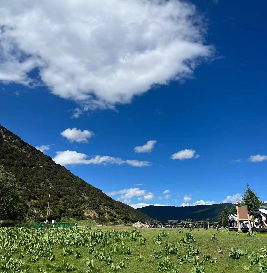 写给第一次去香格里拉的你，这些建议一定要收好-第一次去香格里拉怎么玩