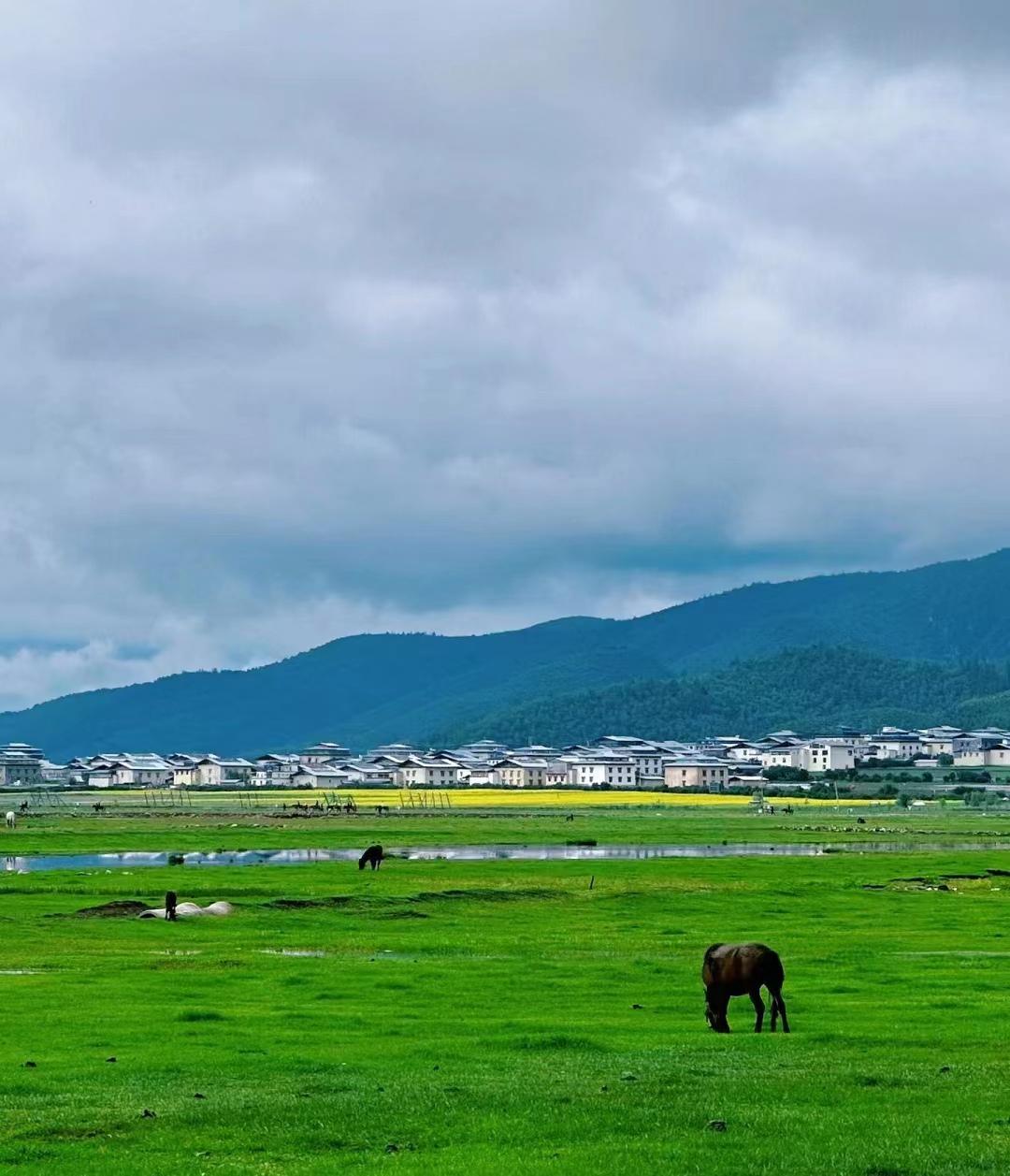 写给第一次去香格里拉的你，这些建议一定要收好-第一次去香格里拉怎么玩