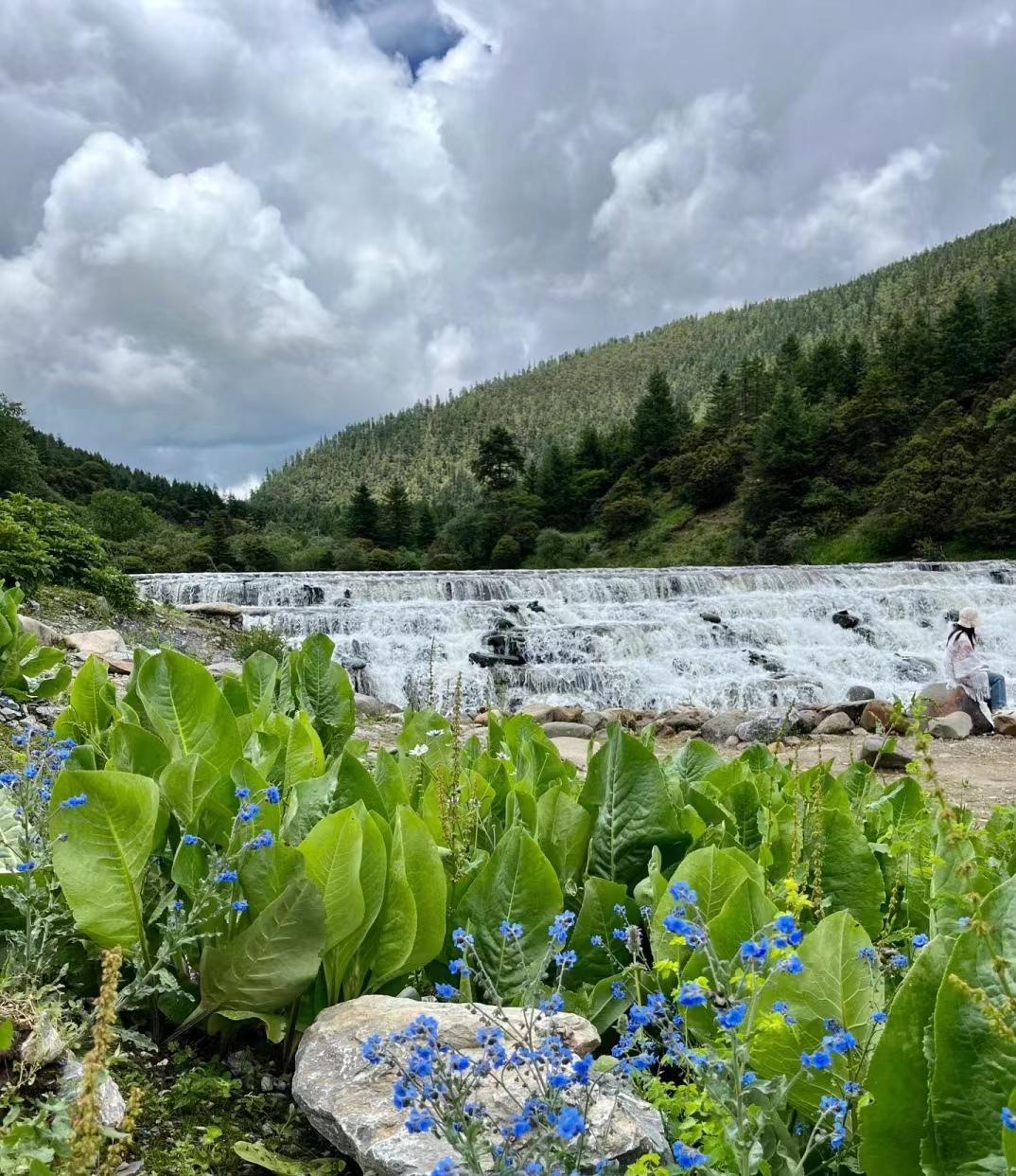 写给第一次去香格里拉的你，这些建议一定要收好-第一次去香格里拉怎么玩