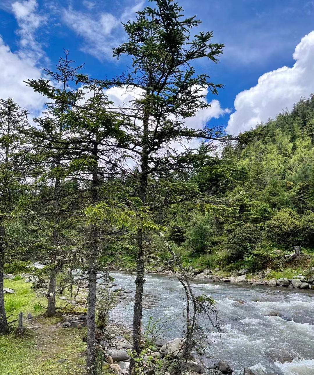 写给第一次去香格里拉的你，这些建议一定要收好-第一次去香格里拉怎么玩