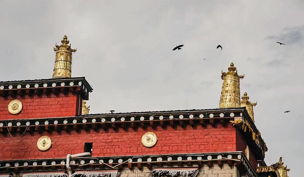 写给第一次去香格里拉的你，这些建议一定要收好-第一次去香格里拉怎么玩