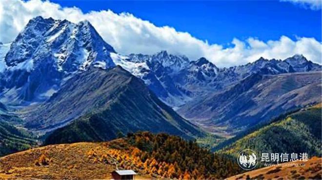 观满山杜鹃花海 香格里拉这些地方人少景美不扎堆-香格里拉花海有什么花