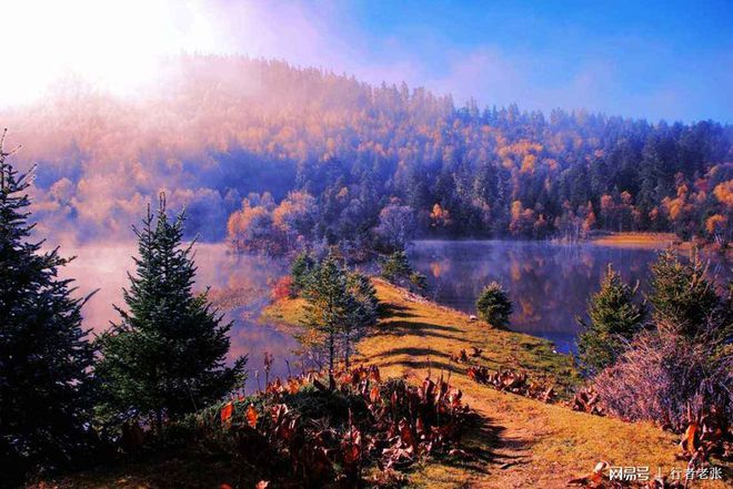 香格里拉最美的地方，世界自然遗产三江并流中心，普达措国家公园-香格里拉江边县