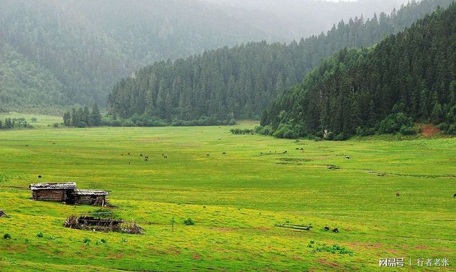 香格里拉最美的地方，世界自然遗产三江并流中心，普达措国家公园-香格里拉江边县
