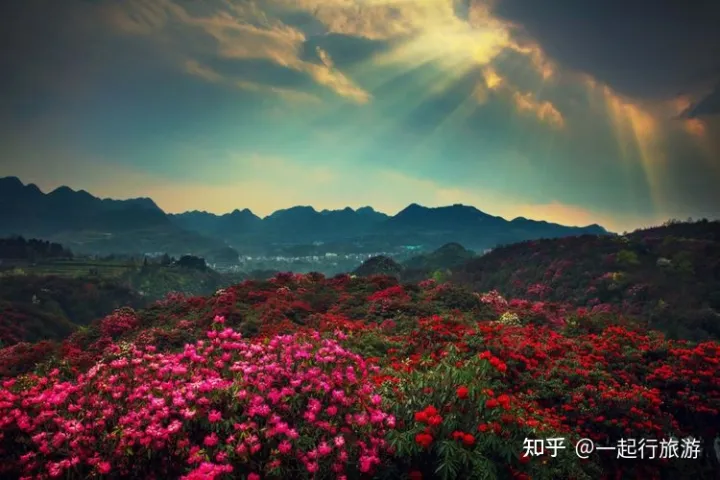 推荐：贵州旅游十大景点，贵州最值得去的10个景点-贵州好的旅游景点排名前十