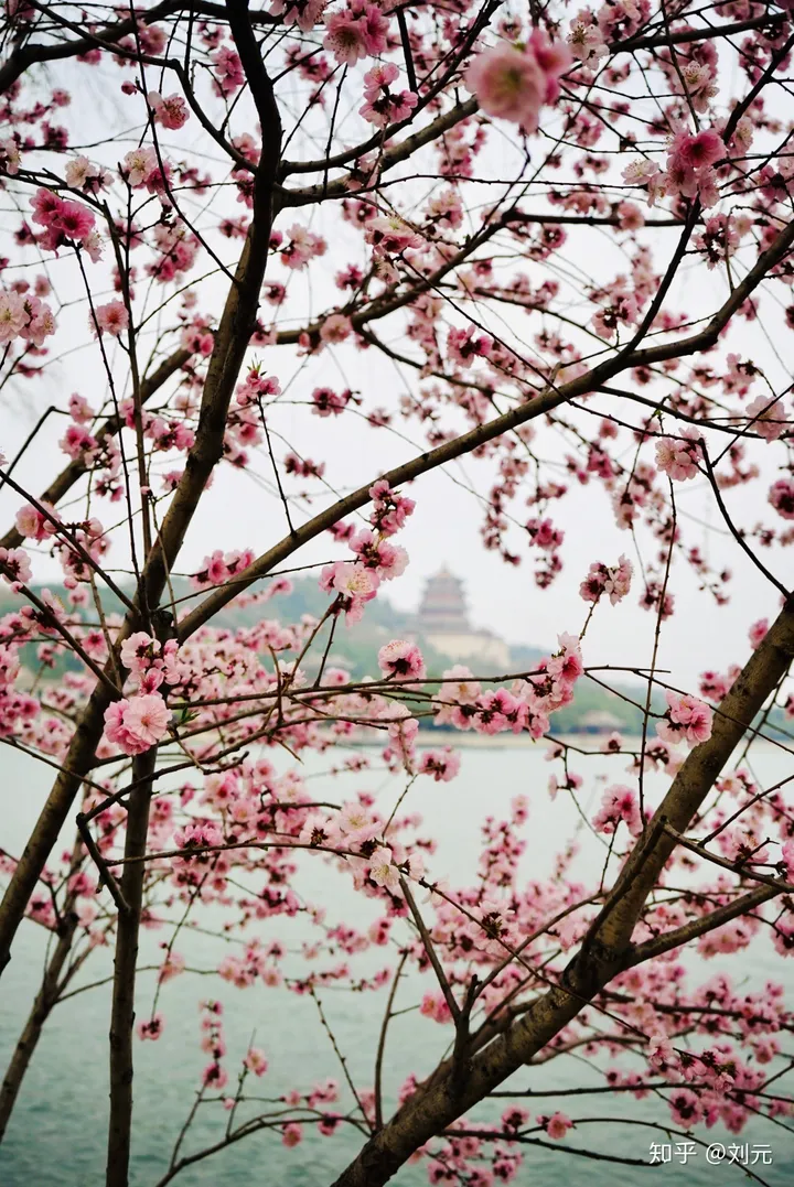 去颐和园有哪些实用攻略和好的建议？-去颐和园玩需要多长时间