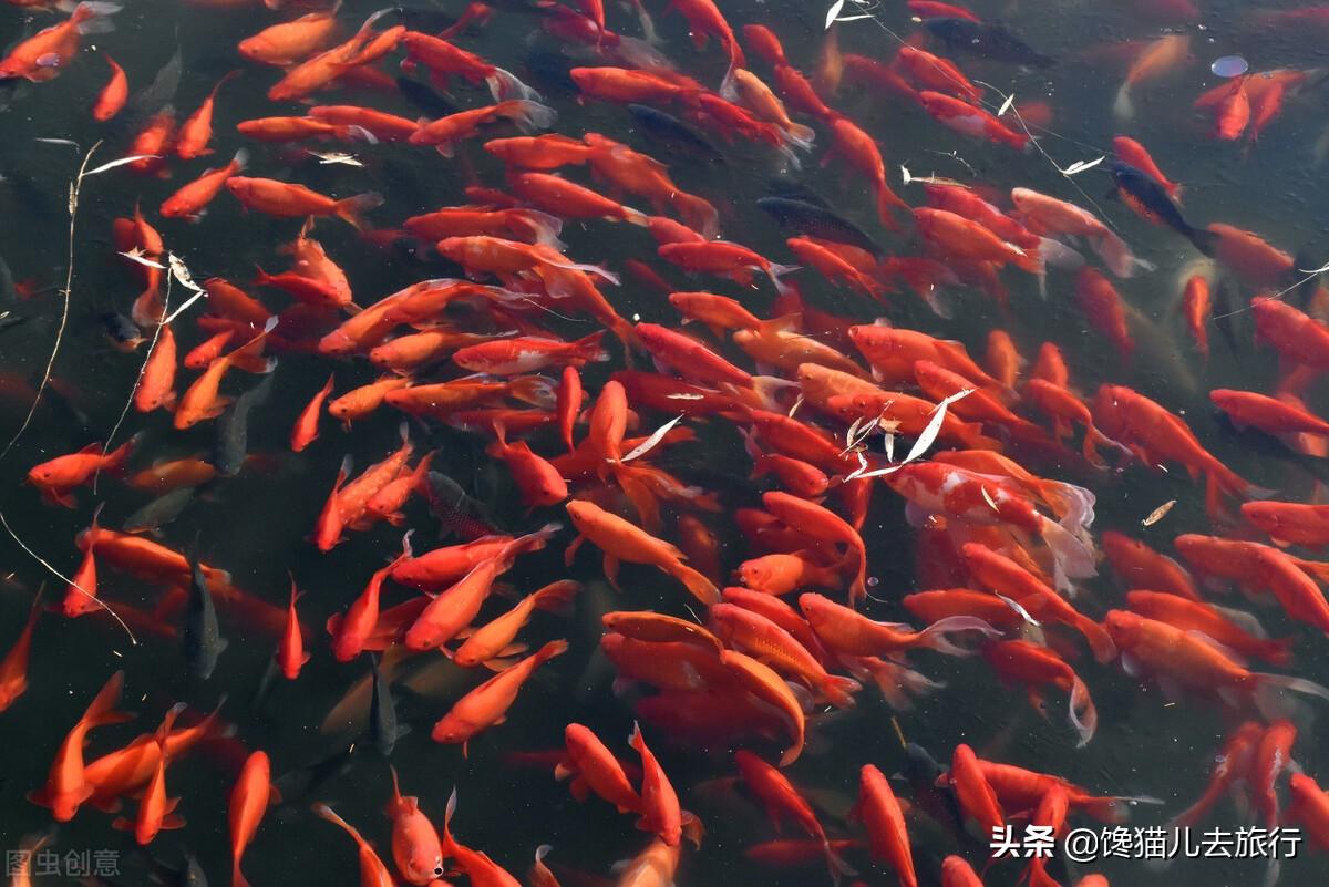 北京颐和园半天能逛完吗？看看有哪些景物是被你错过了的-颐和园半日游步行路线