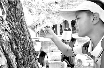 颐和园开通“少年科普路”-颐和园门票儿童怎么收费