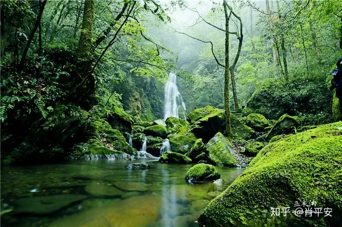 梵净山升仙之山，超越时空的净地，世间难得的一方净土-仙气飘飘的梵净山叫什么