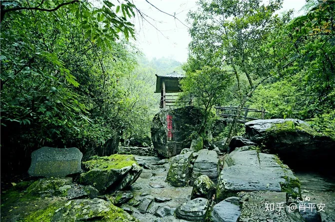 梵净山升仙之山，超越时空的净地，世间难得的一方净土-仙气飘飘的梵净山叫什么