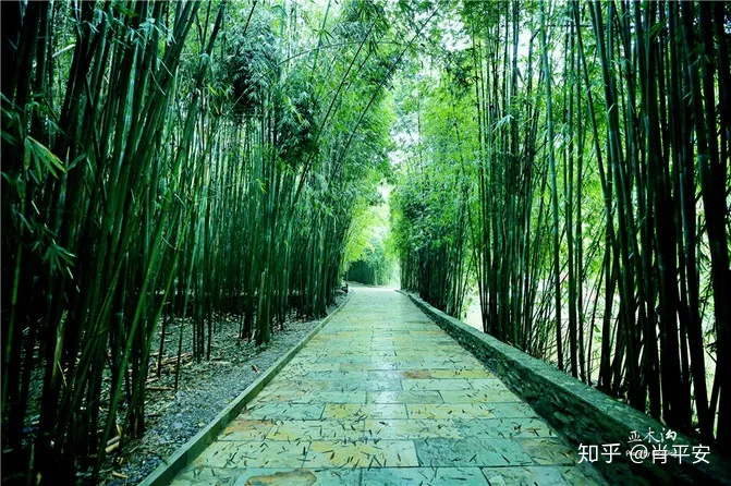 梵净山升仙之山，超越时空的净地，世间难得的一方净土-仙气飘飘的梵净山叫什么