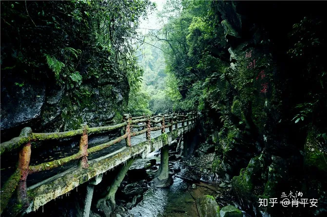 梵净山升仙之山，超越时空的净地，世间难得的一方净土-仙气飘飘的梵净山叫什么