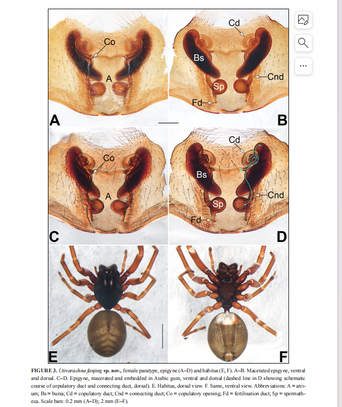 重磅！梵净山有新发现！-梵净山w