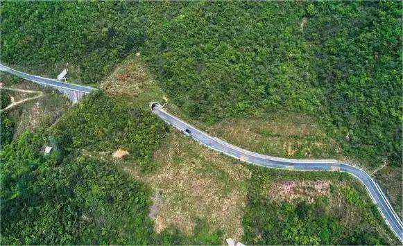 重磅！梵净山有新发现！-梵净山w